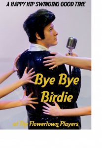 bye-bye-birdie